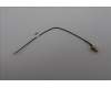 Lenovo ANTENNA 170mm SMA RF Cable_LUX para Lenovo V100q (13GF)