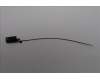 Lenovo ANTENNA GB10 main antenna_AWAN para Lenovo ThinkStation PGX (30KL)