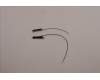 Lenovo ANTENNA KIT_WLAN Antenna_Amphenol para Lenovo ThinkPad X1 Nano Gen 2 (21E8/21E9)