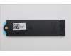 Lenovo BRACKET MPV60_SSD_2280_WPAD_BKT_ASSY para Lenovo ThinkPad P16v G3 (21RT)