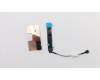 Lenovo CAMERA World-face Camera B81M9 5MW/Cable para Lenovo 300e 2nd Gen (81M9)