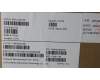 Lenovo MECH_ASM KBD W C RUS BKLT LTN WW USGY para Lenovo ThinkPad X13 Yoga Gen 4 (21F2/21F3)