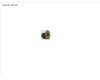 Fujitsu SCREW M2.5XL3 para Fujitsu LifeBook A3510