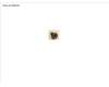 Fujitsu SCREW M2XL3 (ROHS) para Fujitsu Lifebook U5313X