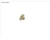 Fujitsu SCREW, M2.5XL2.5 para Fujitsu LifeBook U7313