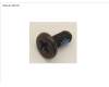 Fujitsu SCREW, M2XL4 para Fujitsu Celsius H780