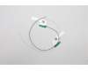 Lenovo ANTENNA Antenna H 82KN MAIN+AUX para Lenovo IdeaPad 3 Chrome-14M836 (82KN)