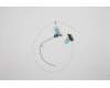 Lenovo ANTENNA FRU ANTENNA kits para Lenovo 14e Chromebook Gen 2 (82M1/82M2)