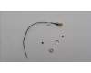 Lenovo ANTENNA Fru, Neo Tiny I-PEX TO SMA_LUX para Lenovo ThinkCentre Neo 50q Gen 4 (12M3)