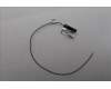 Lenovo ANTENNA Fru,Neo Studio main antenna_LUX para Lenovo ThinkCentre neo Ultra (12W2)
