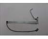 Lenovo 5C10S31012 CABLE Cable L 83DN CAM/B NT MGE