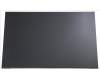 Acer KL.16005.010 LCD PANEL.16".AUO.WUXGA.IPS.NGL
