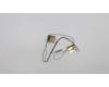 Lenovo ANTENNA AIO 310 615/300mm antenna para Lenovo AIO IdeaCentre 310-20IAP (F0CL)