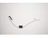 Lenovo ANTENNA LX C-tiny2 Rear antenna para Lenovo IdeaCentre 620S-03IKL (90HC)