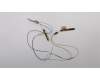 Lenovo FRU Antenna ASM AMPHENOL para Lenovo ThinkPad T440s (20AQ/20AR)