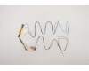 Lenovo ANTENNA FRU ANTENNA P17 ANTENNA WWAN para Lenovo ThinkPad P17 Gen 1 (20SN/20SQ)