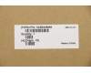 Lenovo COVER Upper Case ASM_IT W 81VU PG para Lenovo IdeaPad 1-14IGL05 (81VU)