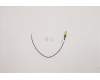 Lenovo ANTENNA 190mm SMA RF Cable_HB para Lenovo ThinkCentre M70q Gen 4 (12E3)