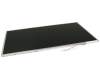 18G241606210 Asus LCD TFT 16.0" HD GLARE
