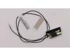 Lenovo CABLE Fru, 550mm M.2 front antenna para Lenovo ThinkStation P410