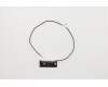 Lenovo ANTENNA Lx 15L Black Front antenna para Lenovo IdeaCentre T540-15ICK Gaming (90LW)
