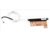 Acer ANTENNA.WLAN.AUX para Acer Predator Helios 300 (PH317-55)
