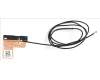 Acer ANTENNA.WLAN.MAIN para Acer Aspire 5 (A517-53)