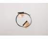 Lenovo ANTENNA FRU ANTENNA Antenna para Lenovo Yoga 11e 6th Gen (20SE/20SF)