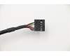 Lenovo CABLE Fru 200mm Rear USB2 LP cable para Lenovo ThinkCentre M720e