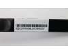Lenovo CABLE Fru LPT Cable 180mm LP para Lenovo ThinkCentre M910x