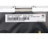 Lenovo 01EN592 NB_KYB KBD BL CHY Belgian