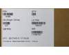 Lenovo 01HW859 COVER C cover wo/FPR AMD