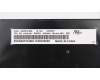 Lenovo 01HX346 NB_KYB Windu2 LTN NBL-KB BG