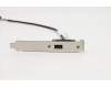 Lenovo Fru, 300mm Rear USB2 cable (1 ports USB para Lenovo ThinkCentre M720s