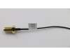Lenovo CABLE Fru, 210mm SMA RF Cable_Tiny3 para Lenovo ThinkCentre M70q (11DV)