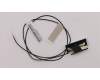 Lenovo CABLE Fru, 550mm M.2 front antenna para Lenovo ThinkCentre M700 Tower and Small