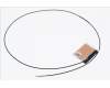 Acer 50.Q7KN2.009 ANTENNA.WLAN.MAIN