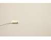 Lenovo 5A30W89225 ANTENNA Fru,13L FR 180mm ANT_LUX