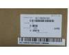Lenovo 5C10M35103 CABLE EDP Cable L 80VF UHD