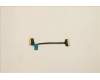 5C10S30367 Lenovo CABLE USB Board Cable L 82QX