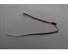5C10S31137 Lenovo CABLE Cable L 83GW EDP HIGH-TEK