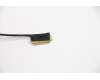 Lenovo CABLE Cable-Coax,LCD,ePrivacy para Lenovo ThinkPad X1 Carbon 8th Gen (20UA/20U9)