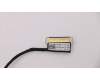 Lenovo CABLE Cable-Coax,LCD,Touch para Lenovo ThinkPad X1 Carbon 7th Gen (20R1/20R2)