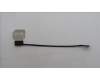 5C11H81496 Lenovo CABLE FRU CABLE EDP CS LCLW 2.4T WWAN