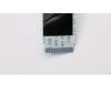 Lenovo 5C50R28081 CARDPOP I/O Board W 81B4 W/Cable