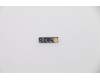 Lenovo 5C50S25033 CARDPOP Function Board L 81Q9 new