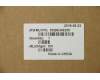 Lenovo 5CB0U42255 COVER Uppercase C81N4 PLBLU FPBL GER