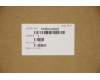 Lenovo 5CB0U42422 COVER Uppercase C81N4 PLBLU NFPNBL CZ-SK