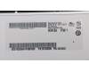 Lenovo 5D10G95364 DISPLAY AUO B140XTN02.E 0A HD