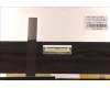 5D10S39791 Lenovo DISPLAY LCD MODULE W 82R7 2.8K OLED LB+S